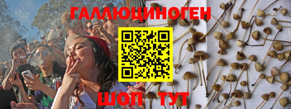 Галлюциногенные грибы Psilocybine cubensis  Вход с VPN  Галлюциногенные грибы ЛСД  Хасавюрт 
